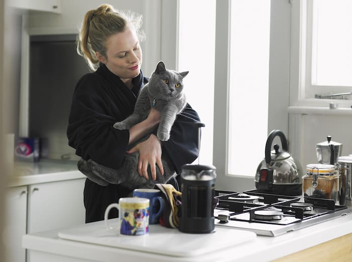 kitchen should be safe for a cat