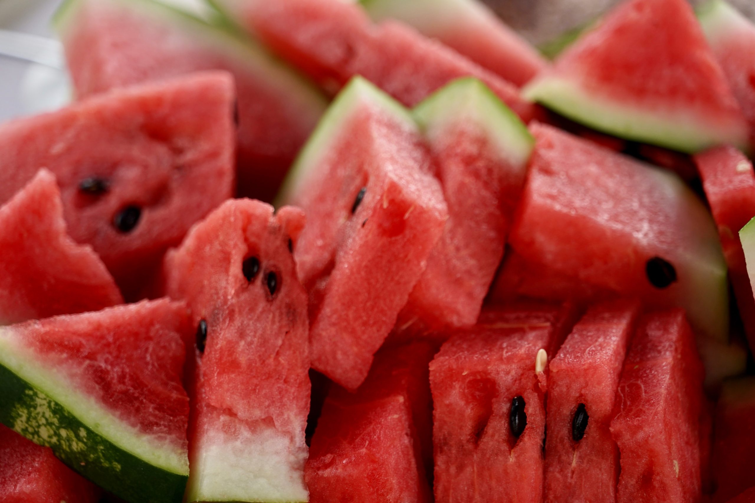 watermelon photo