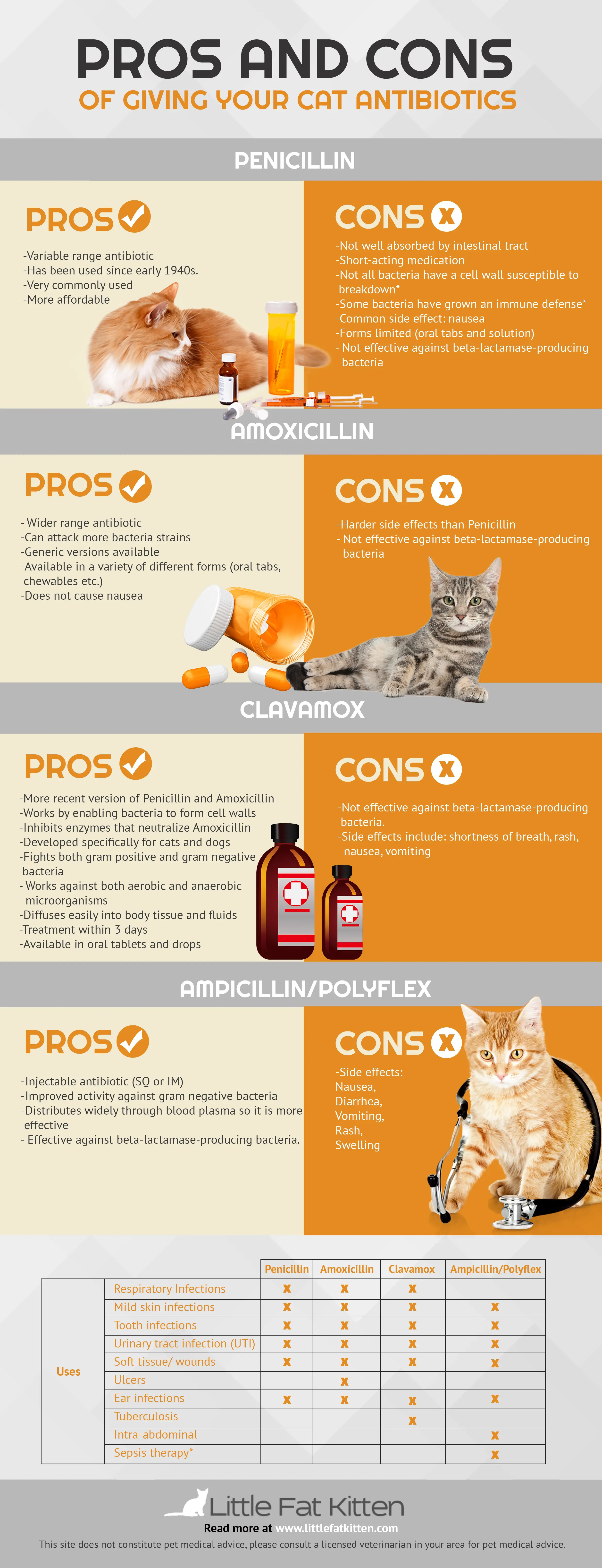 pros and cons of giving your cat penicilin